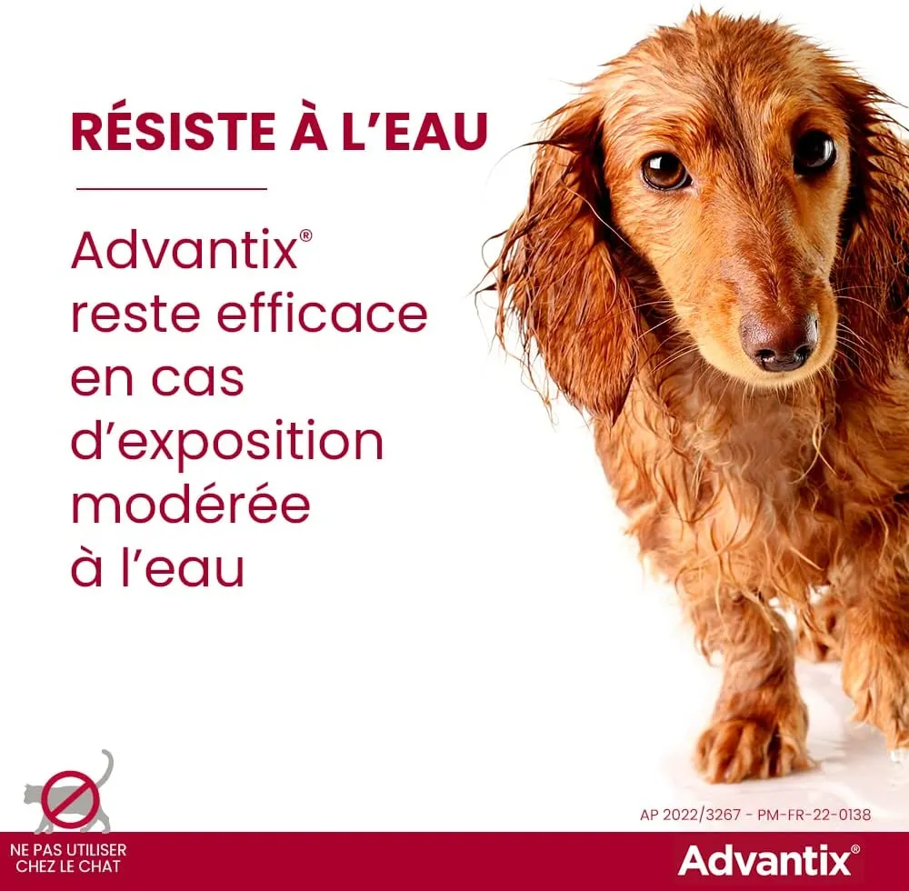 Advantix Spot-on per Cani dai 10Kg ai 25Kg - 4 pipette da 2.5ml