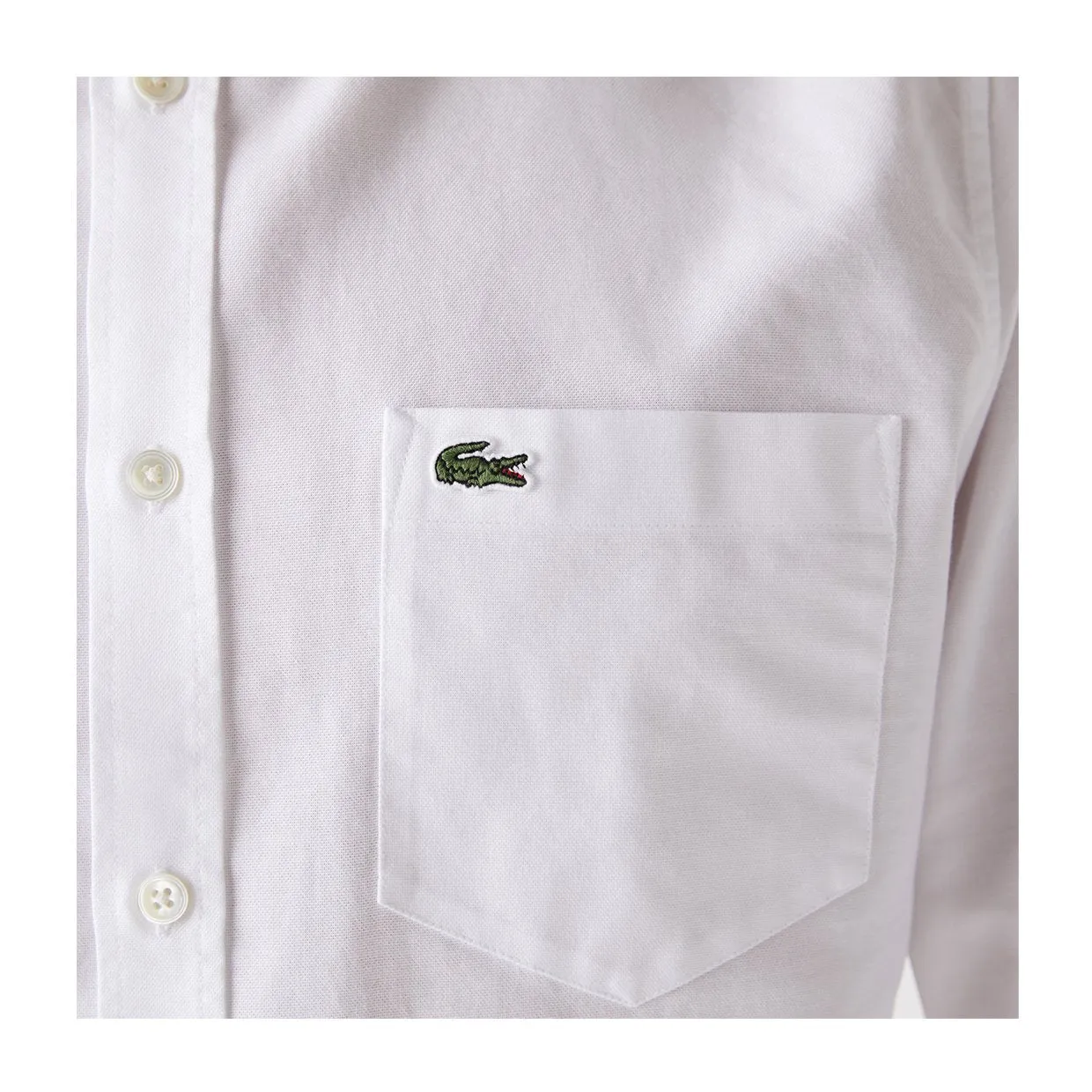 Camicia Lacoste Oxford Bianco