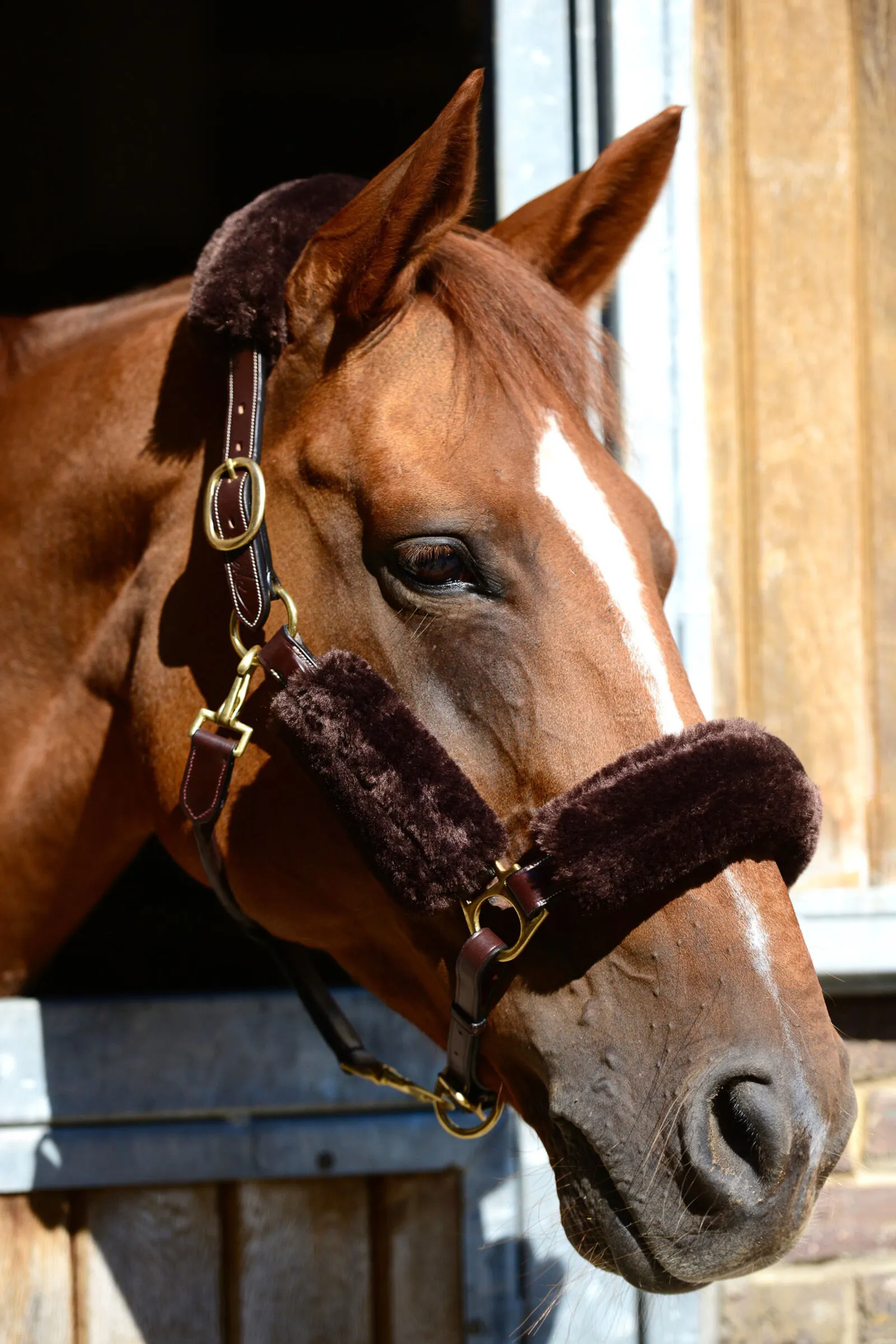 Kentucky Horsewear Cavezza in montone Set 4 pz