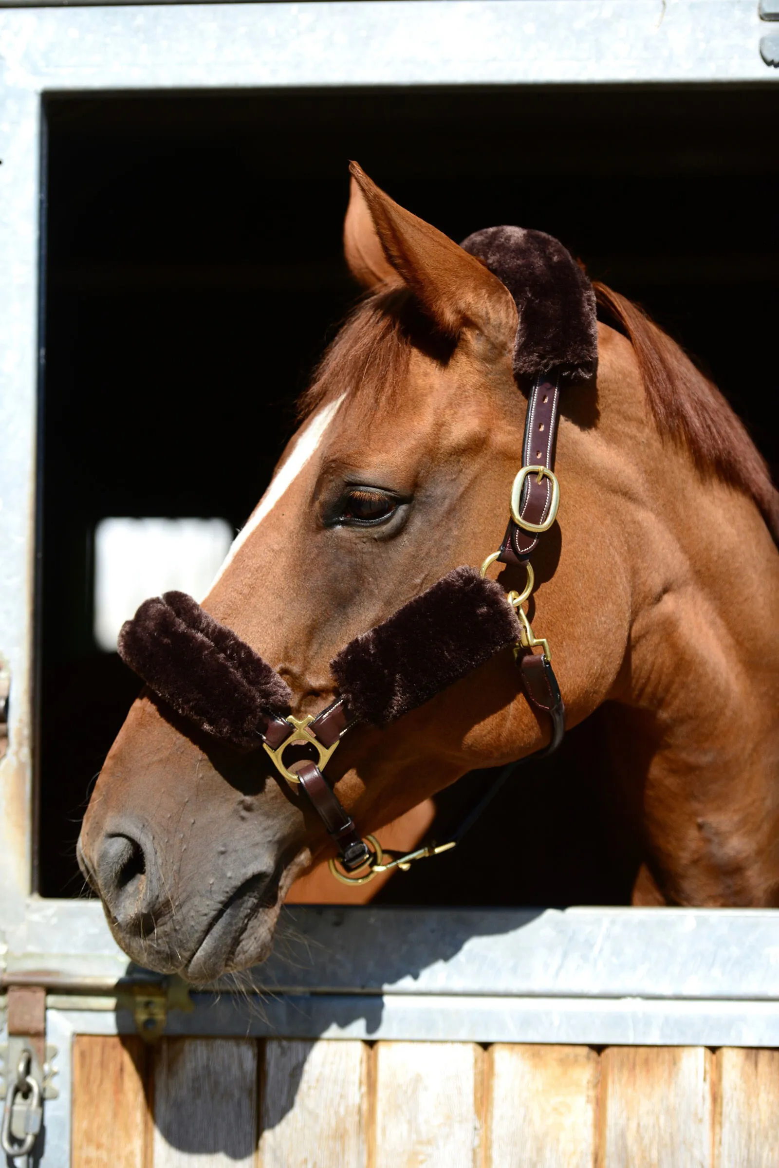 Kentucky Horsewear Cavezza in montone Set 4 pz