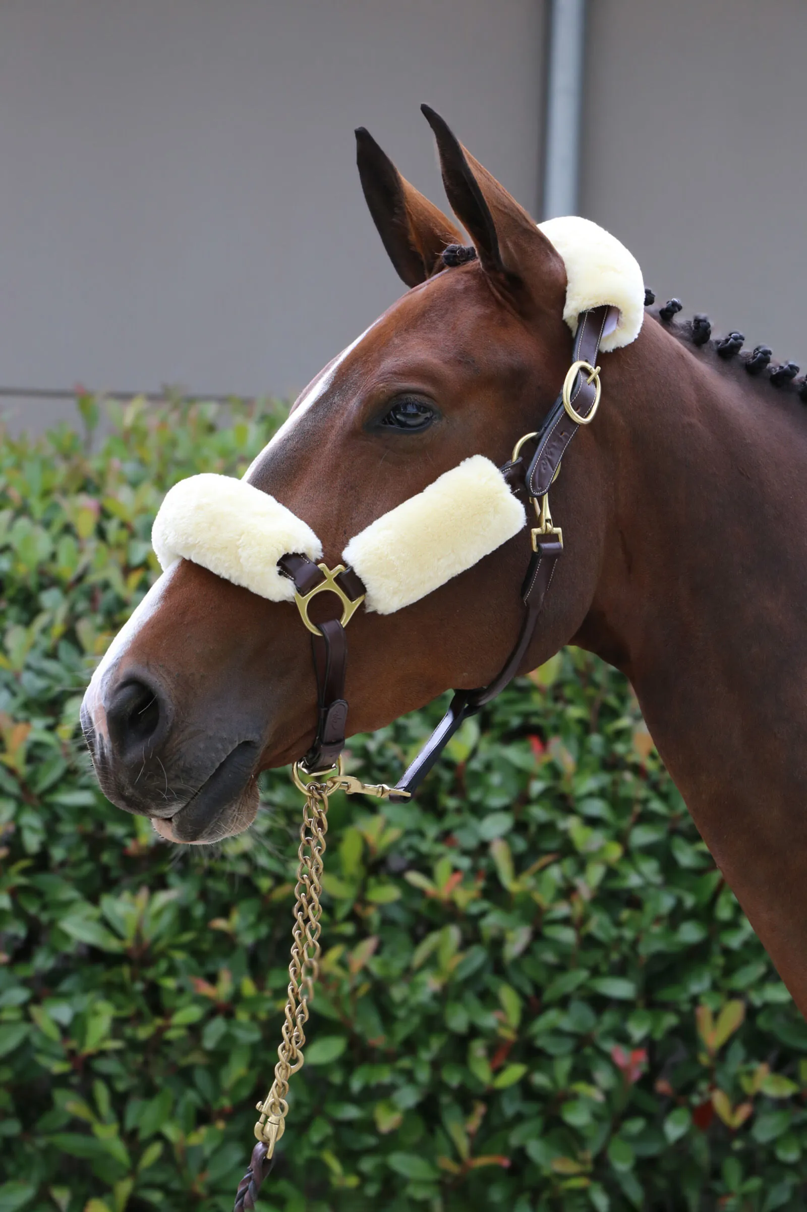 Kentucky Horsewear Cavezza in montone Set 4 pz