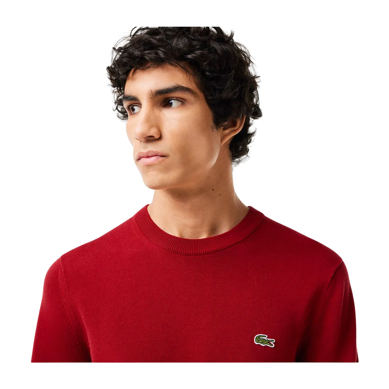 Maglione Uomo Lacoste Girocollo Bordeaux